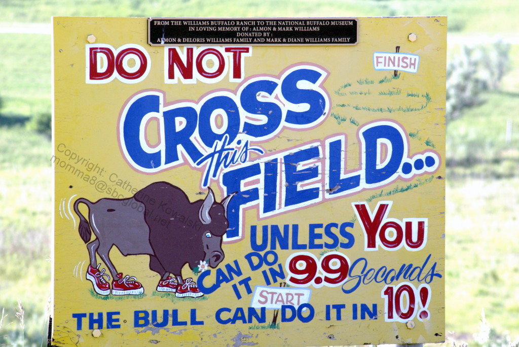 Sign in Field  National Buffalo Museum - Jamestown, ND