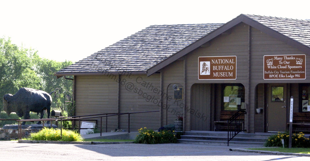 National Buffalo Museum  - Jamestown, ND