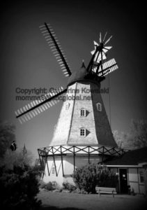 Danish Windmill, Iowa